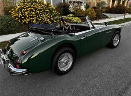 Austin Healey 3000 Mark III BJ8