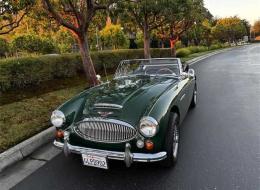 Austin Healey 3000 Mark III BJ8