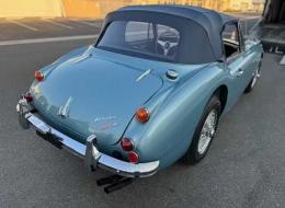 Austin Healey 3000 Mark III BJ8