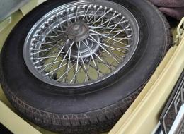 MG C MGC