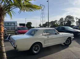 Ford Mustang V8 Coupé