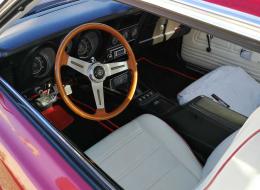 Ford Mustang mach 1