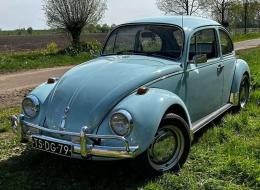 Volkswagen Coccinelle 1200