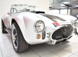 AC Cobra Replica Pigeon racing 5.0L