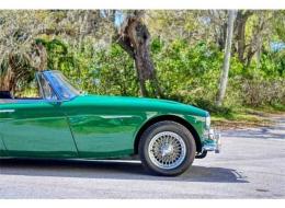 Austin Healey 3000 MK III