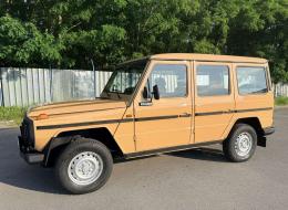Mercedes-Benz G Class 230