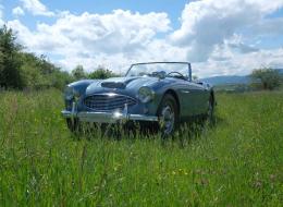Austin Healey 100 BN4