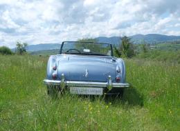Austin Healey 100 BN4