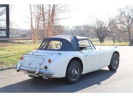 Austin Healey 3000 Mk III BJ8