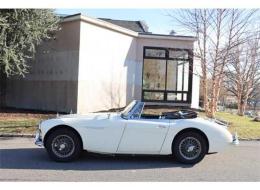 Austin Healey 3000 Mk III BJ8
