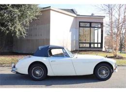 Austin Healey 3000 Mk III BJ8