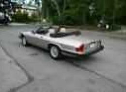 Jaguar XJS XJS V12