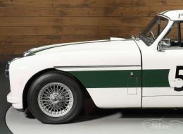 Aston Martin DB 2/4