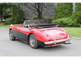 Austin Healey 3000 Mk III BJ8