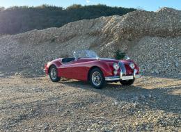 Jaguar Série - XK 140 Roadster MC