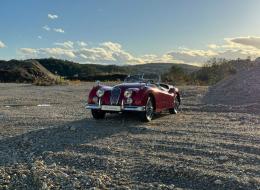 Jaguar Série - XK 140 Roadster MC