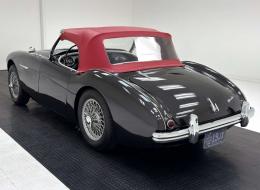 Austin Healey 100 - 4 BN1 Roadster