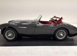 Austin Healey 100 - 4 BN1 Roadster