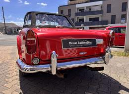 Triumph TR250