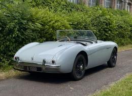 Austin Healey 100 / 4 BN1 - KIT 100M