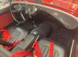Austin Healey 100