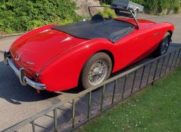 Austin Healey 100