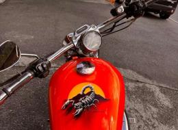 Moto Harley Davidson Sportster XL1200C