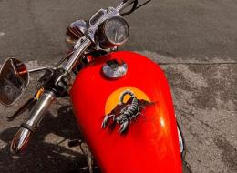 Moto Harley Davidson Sportster XL1200C