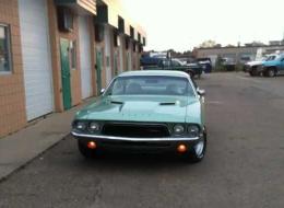 Dodge Challenger Rally