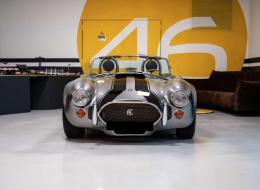 AC Cobra Gardner Douglas Replica