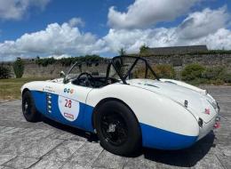Austin Healey 100  /4 BN2