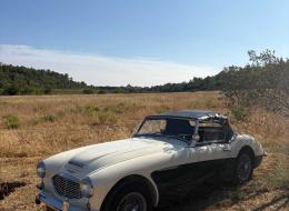Austin Healey 100 100/6