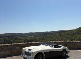 Austin Healey 100 100/6