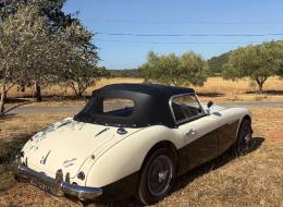 Austin Healey 100 100/6
