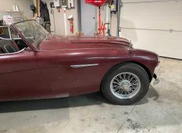 Austin Healey 100 - 6 BN4