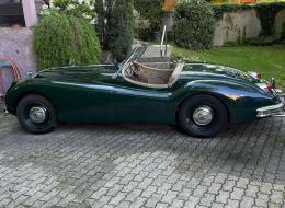 Jaguar Série - XK 140 Roadster