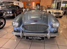 Austin Healey 3000 BJ8