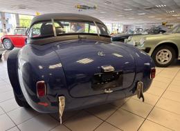 Shelby Cobra 289 FIA