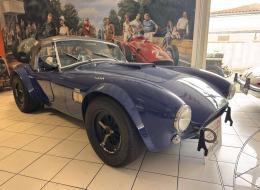 Shelby Cobra 289 FIA