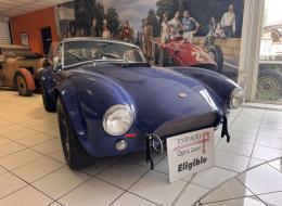 Shelby Cobra 289 FIA
