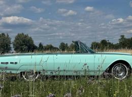 Ford Thunderbird Convertible