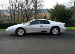 Lotus Esprit S3 Stevens N.A. Type 85