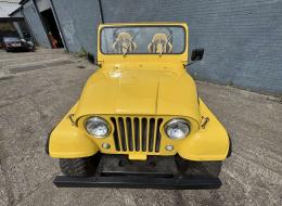 Jeep CJ 5