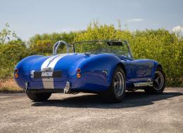 AC Cobra Replique Dax