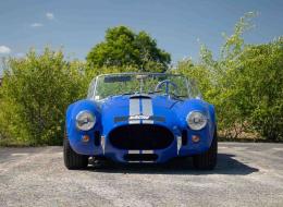 AC Cobra Replique Dax