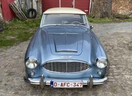 Austin Healey 100 - 6 BN4