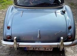 Austin Healey 100 - 6 BN4