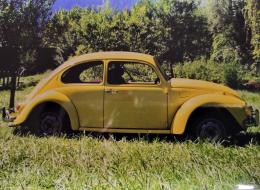 Volkswagen Coccinelle 1302