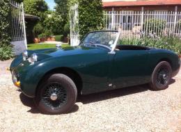 Austin Healey Sprite Frogeye