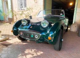 Austin Healey Sprite Frogeye
